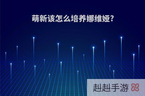 萌新该怎么培养娜维娅?