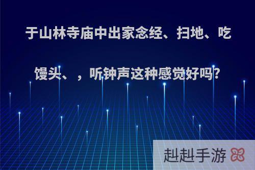 于山林寺庙中出家念经、扫地、吃馒头、，听钟声这种感觉好吗?