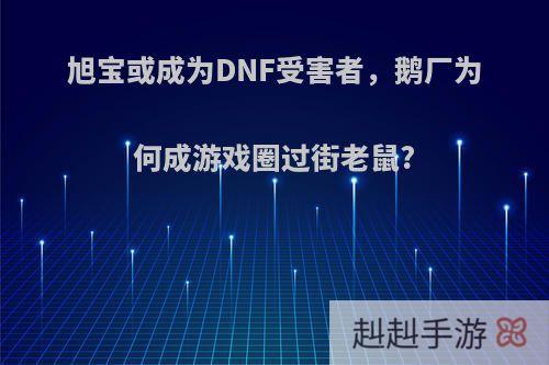 旭宝或成为DNF受害者，鹅厂为何成游戏圈过街老鼠?