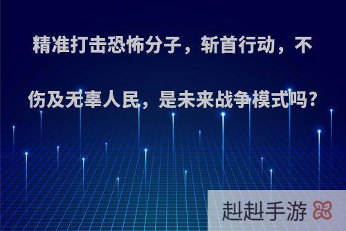 精准打击恐怖分子，斩首行动，不伤及无辜人民，是未来战争模式吗?