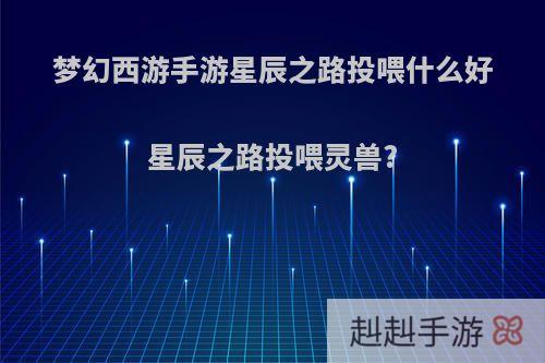 梦幻西游手游星辰之路投喂什么好星辰之路投喂灵兽?