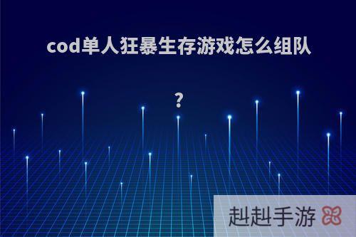 cod单人狂暴生存游戏怎么组队?