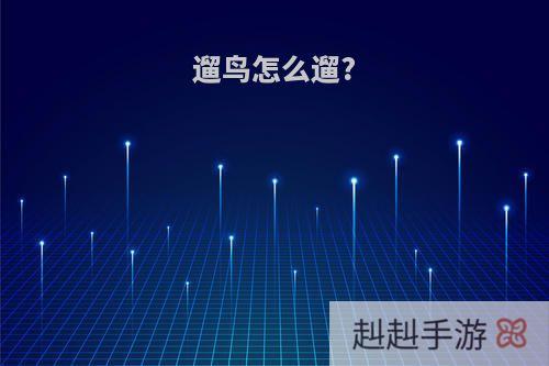 遛鸟怎么遛?