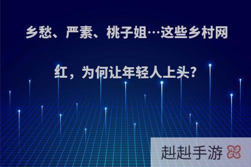 乡愁、严素、桃子姐…这些乡村网红，为何让年轻人上头?