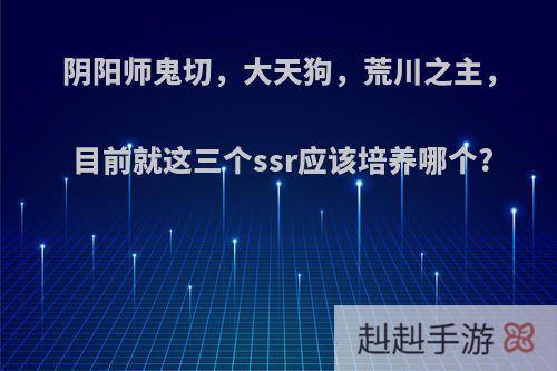 阴阳师鬼切，大天狗，荒川之主，目前就这三个ssr应该培养哪个?