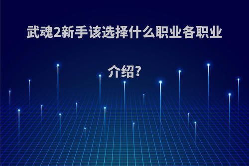 武魂2新手该选择什么职业各职业介绍?