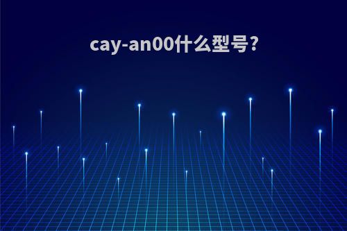 cay-an00什么型号?