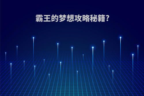 霸王的梦想攻略秘籍?