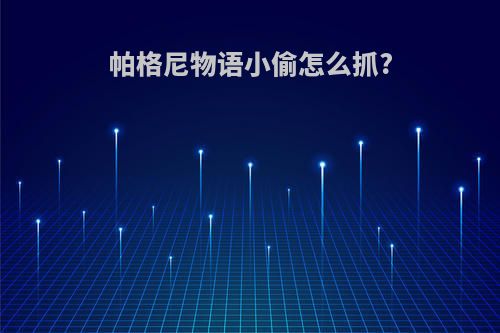 帕格尼物语小偷怎么抓?