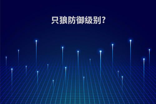 只狼防御级别?