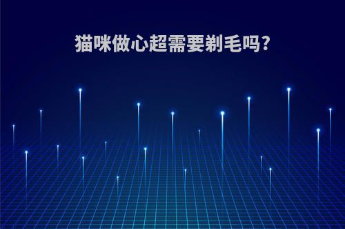 猫咪做心超需要剃毛吗?