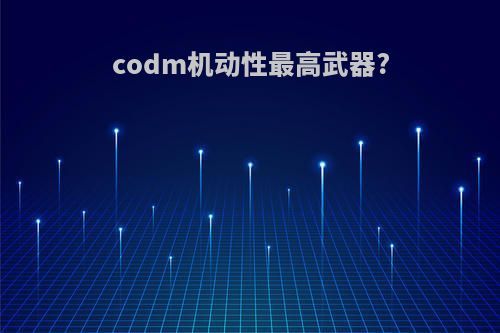codm机动性最高武器?