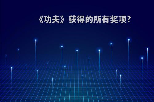 《功夫》获得的所有奖项?