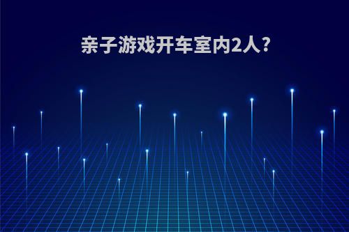 亲子游戏开车室内2人?