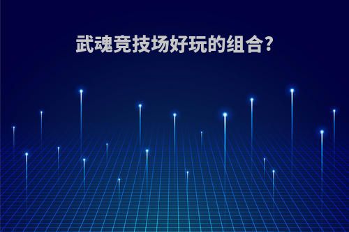 武魂竞技场好玩的组合?