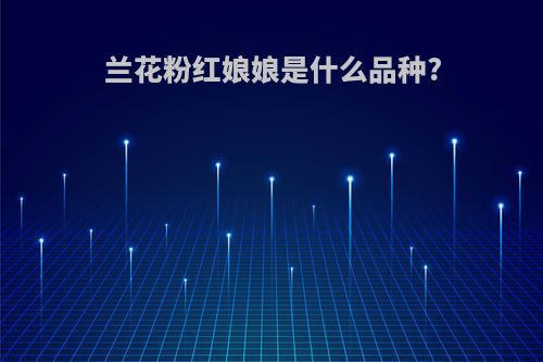 兰花粉红娘娘是什么品种?