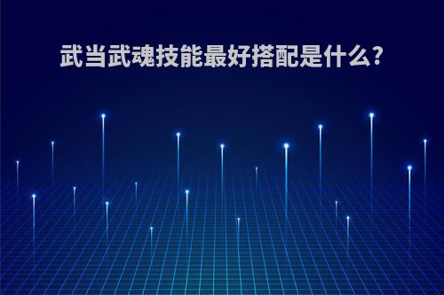 武当武魂技能最好搭配是什么?