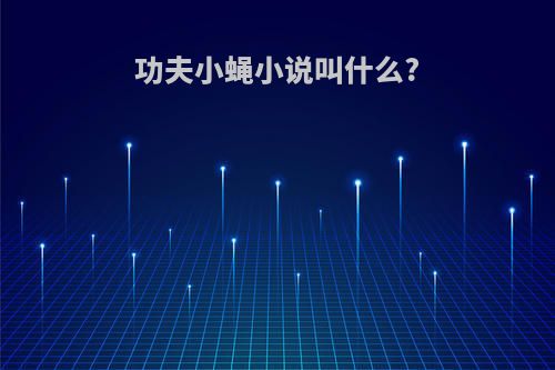 功夫小蝇小说叫什么?