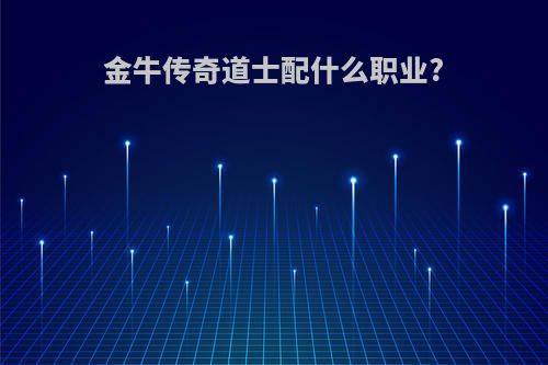金牛传奇道士配什么职业?