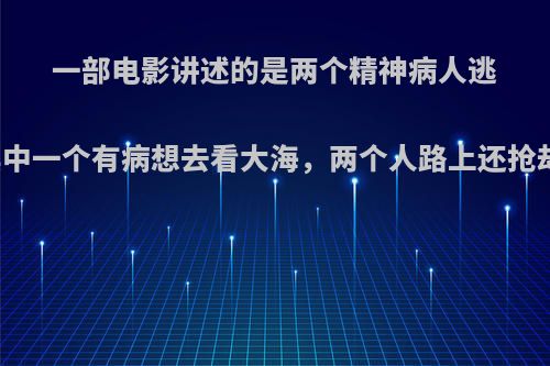 一部电影讲述的是两个精神病人逃出了精神病院，其中一个有病想去看大海，两个人路上还抢劫，后来到了大海?