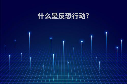 什么是反恐行动?