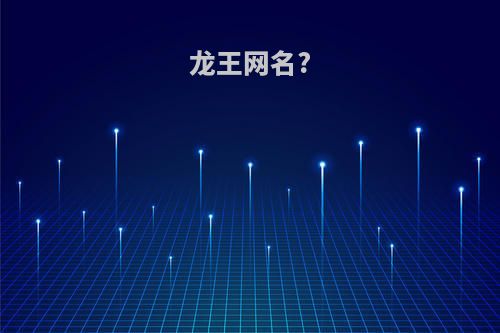 龙王网名?