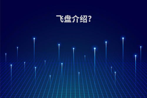 飞盘介绍?