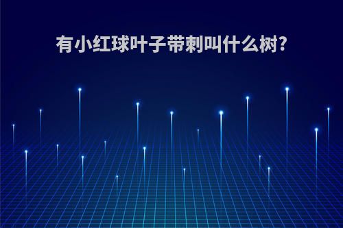 有小红球叶子带刺叫什么树?