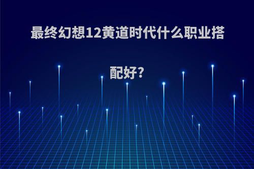 最终幻想12黄道时代什么职业搭配好?