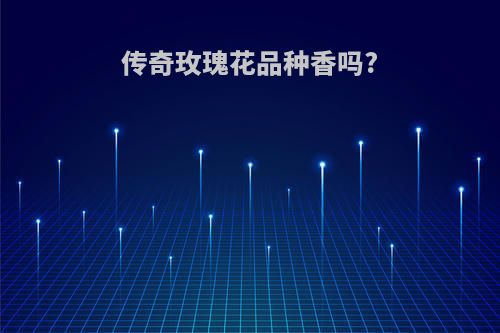 传奇玫瑰花品种香吗?