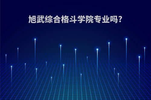 旭武综合格斗学院专业吗?