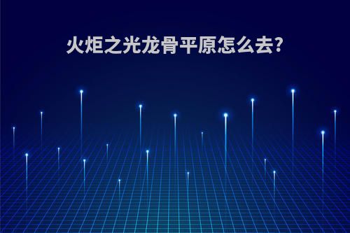 火炬之光龙骨平原怎么去?
