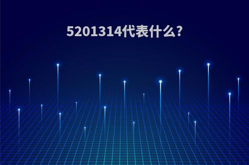 5201314代表什么?