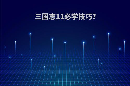 三国志11必学技巧?