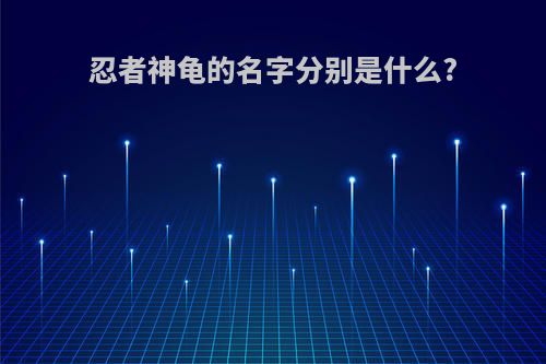 忍者神龟的名字分别是什么?