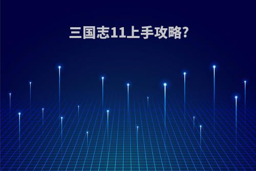 三国志11上手攻略?