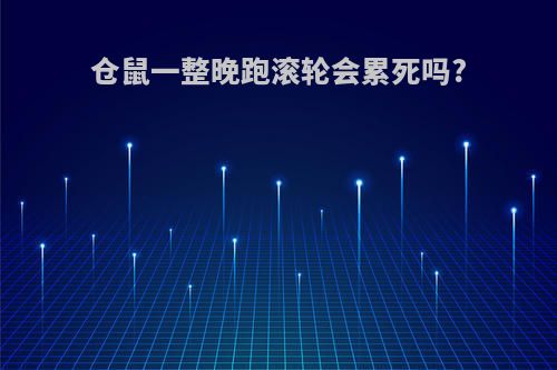 仓鼠一整晚跑滚轮会累死吗?