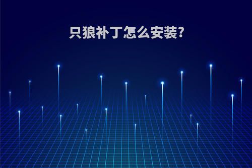 只狼补丁怎么安装?