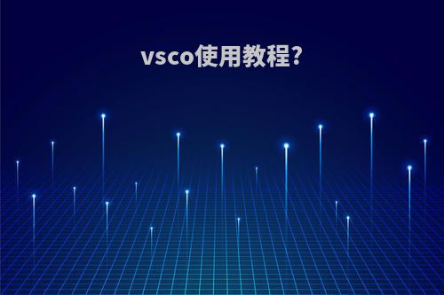vsco使用教程?