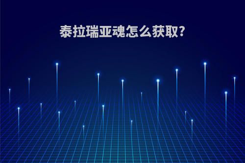 泰拉瑞亚魂怎么获取?