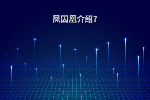 凤囚凰介绍?