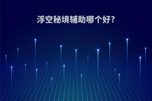 浮空秘境辅助哪个好?
