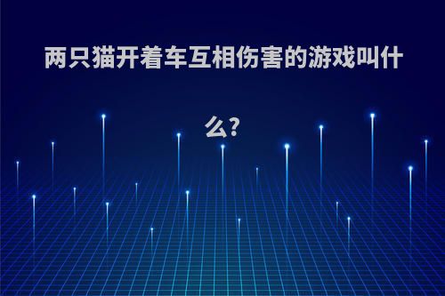 两只猫开着车互相伤害的游戏叫什么?
