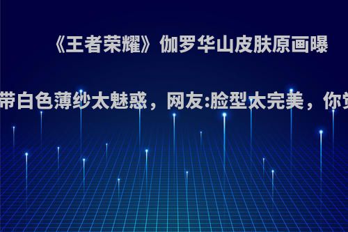 《王者荣耀》伽罗华山皮肤原画曝光，脸带白色薄纱太魅惑，网友:脸型太完美，你觉得呢?