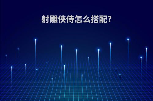 射雕侠侍怎么搭配?