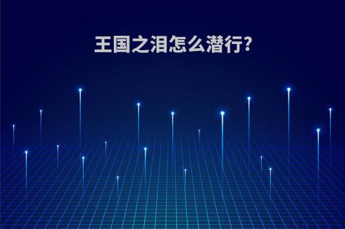 王国之泪怎么潜行?