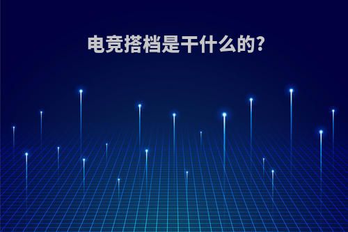 电竞搭档是干什么的?