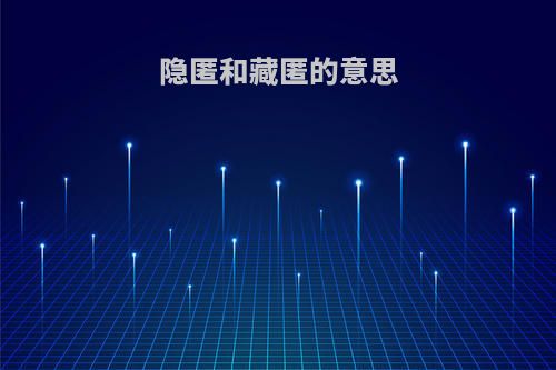 隐匿和藏匿的意思