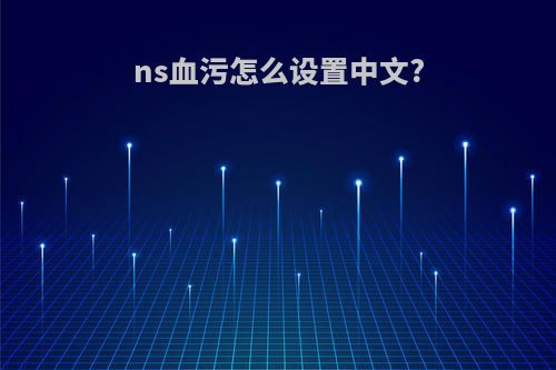ns血污怎么设置中文?