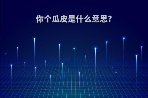 你个瓜皮是什么意思?